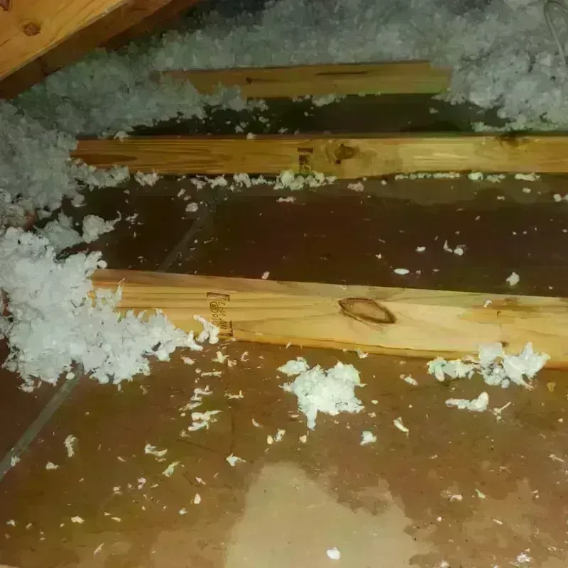 Attic Water Damage in Decatur, IL