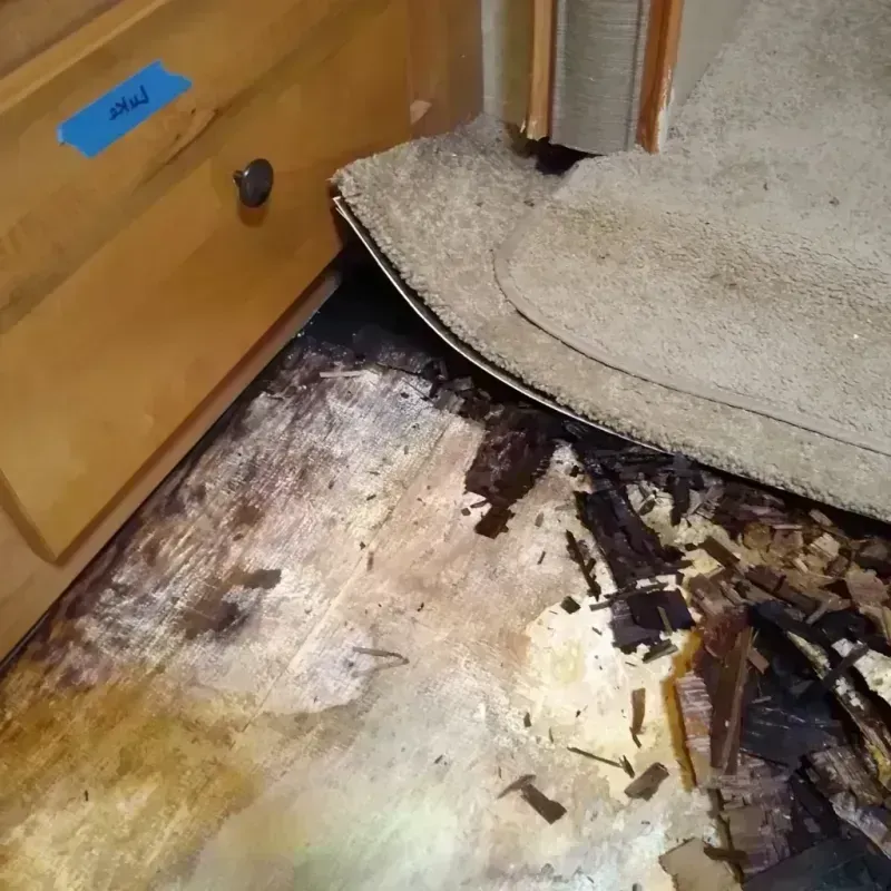 Wood Floor Water Damage in Decatur, IL